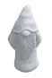 morepic-5